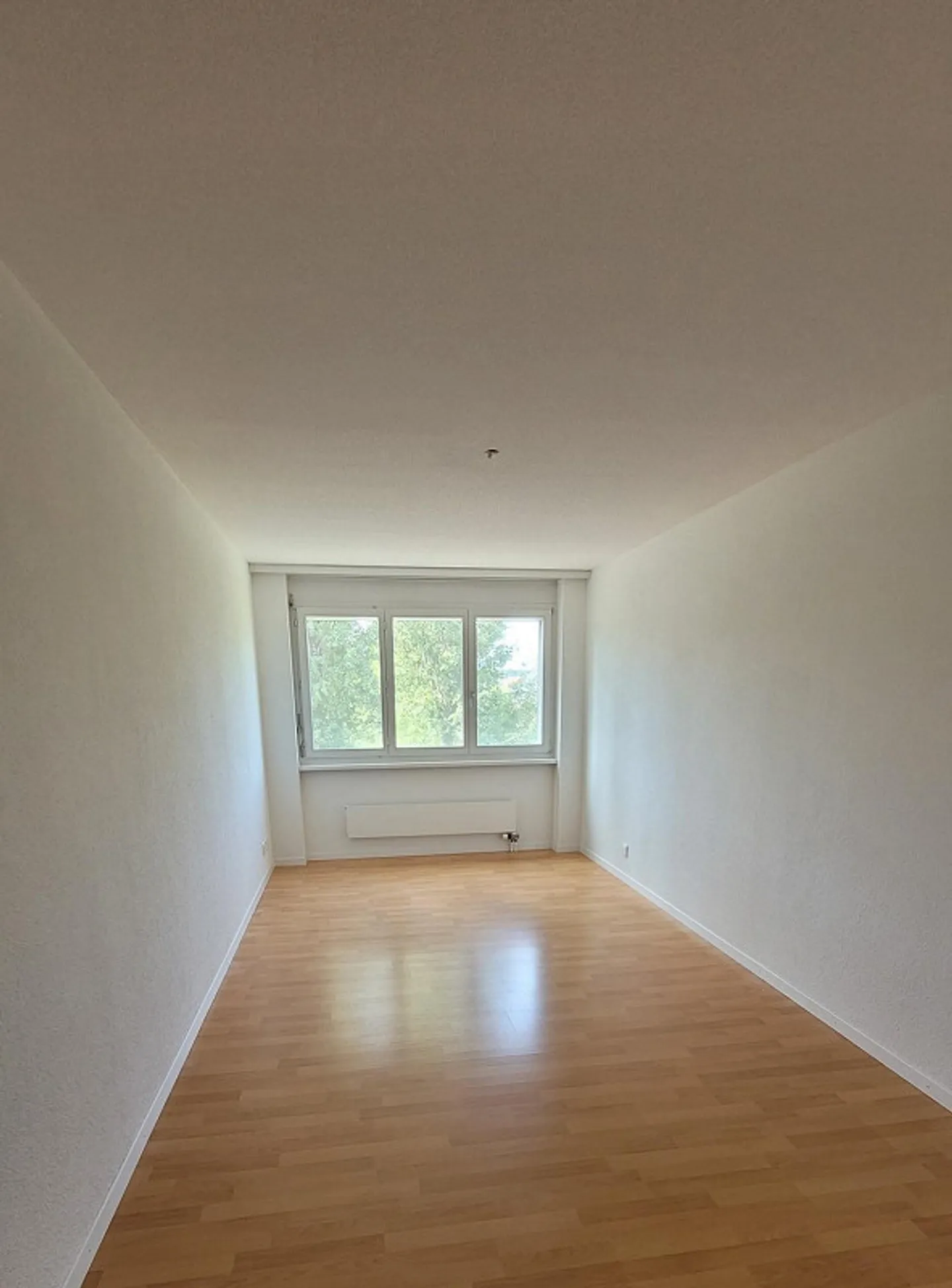 Grosszügige und helle Wohnung an ruhiger Lage - Foto 16 von 20