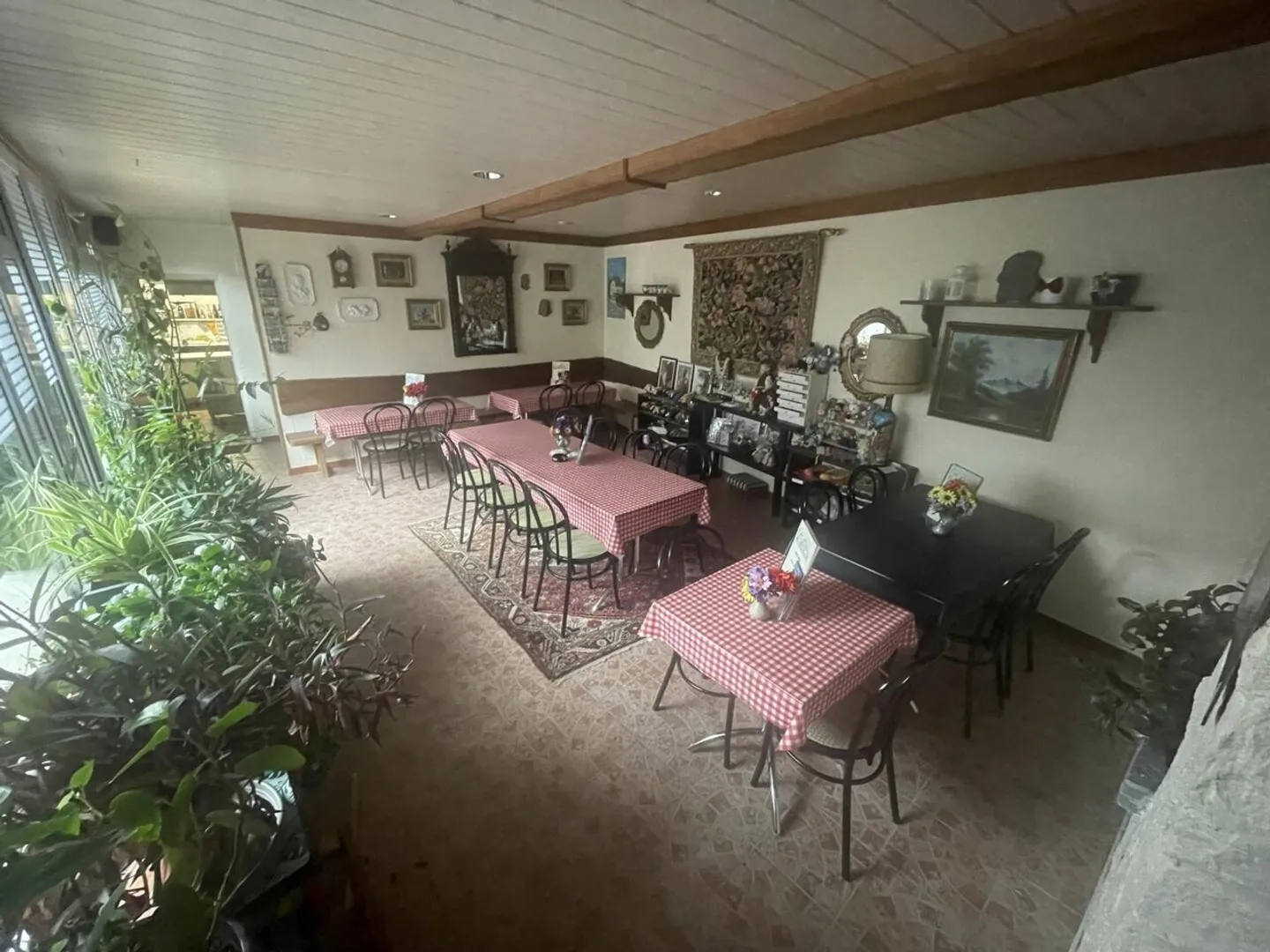 Grotto restaurant with summer terraces and renovated 5-room Rustico - Photo 5 of 13