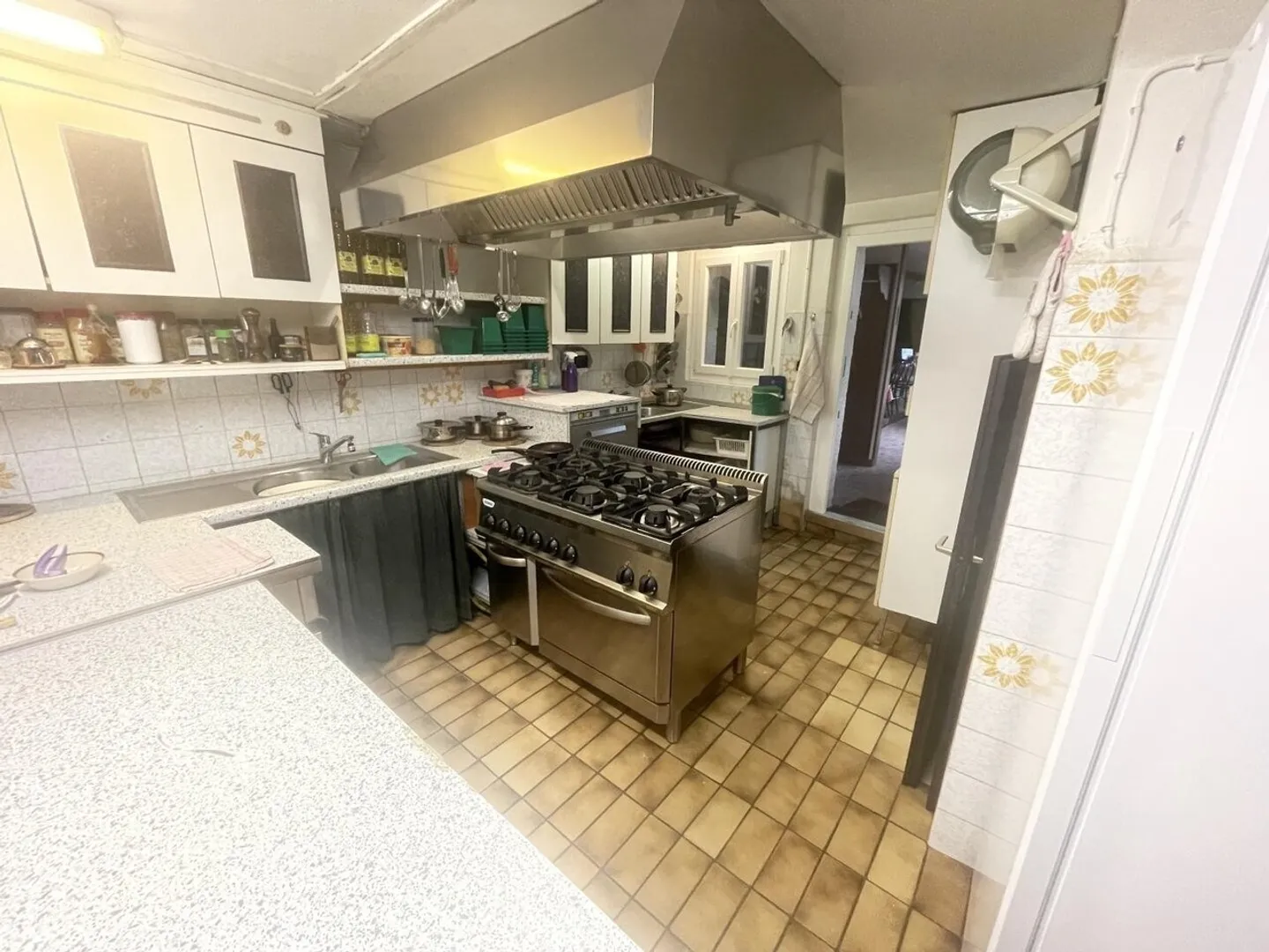 Grotto restaurant with summer terraces and renovated 5-room Rustico - Photo 7 of 13