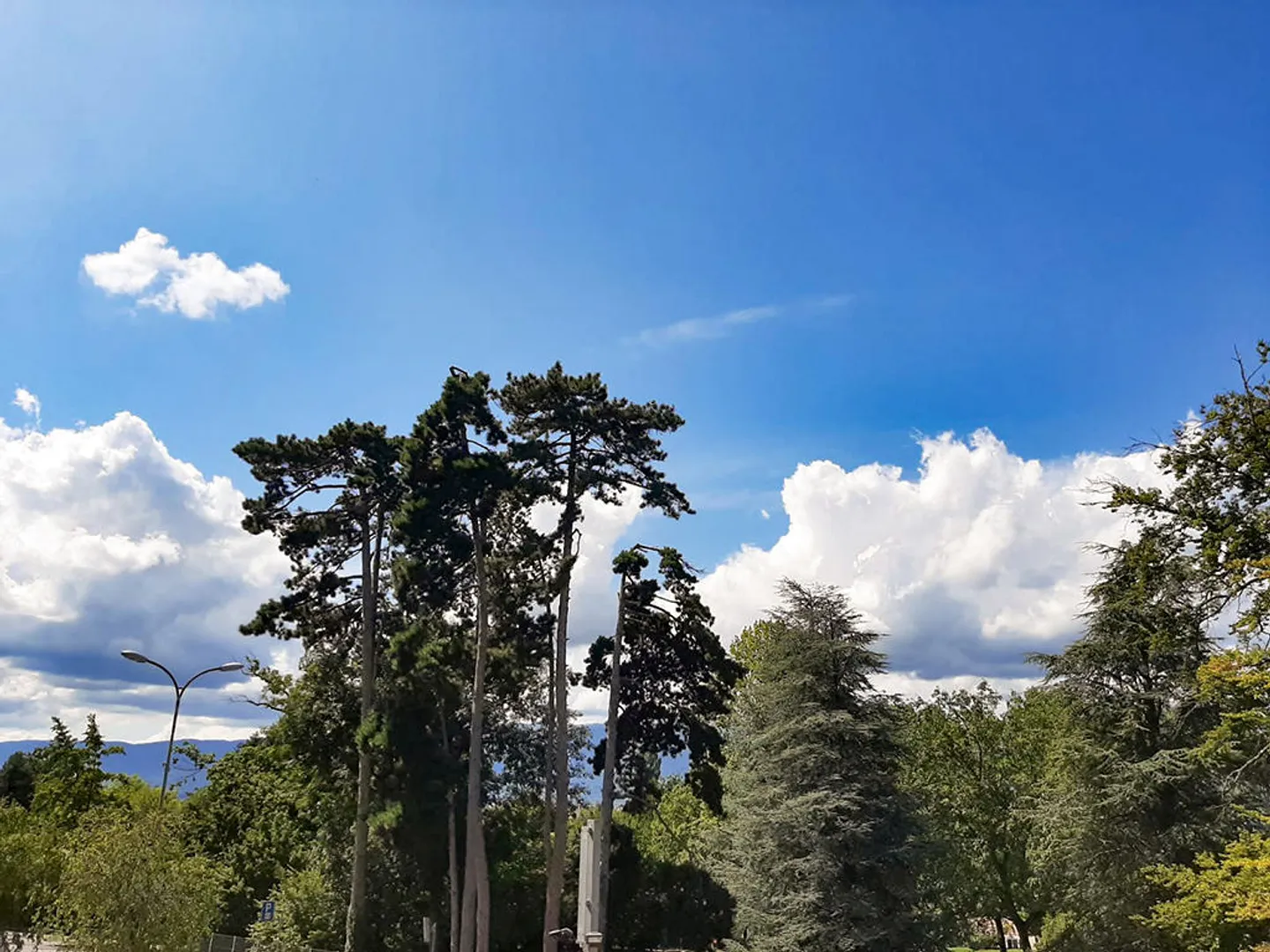 Villa 8,5 Zimmer - Foto 3 von 3