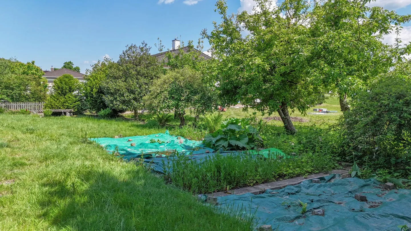 Vivere generosamente, progettare individualmente - Casa con 3 garage e idillio da giardino - Foto 22 di 34