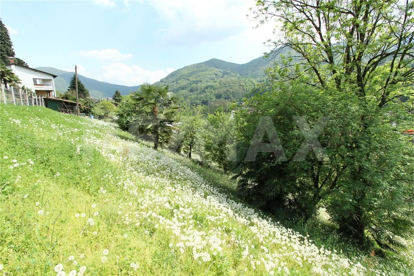 Terrain constructible intéressant avec un grand potentiel - Photo 7 sur 13
