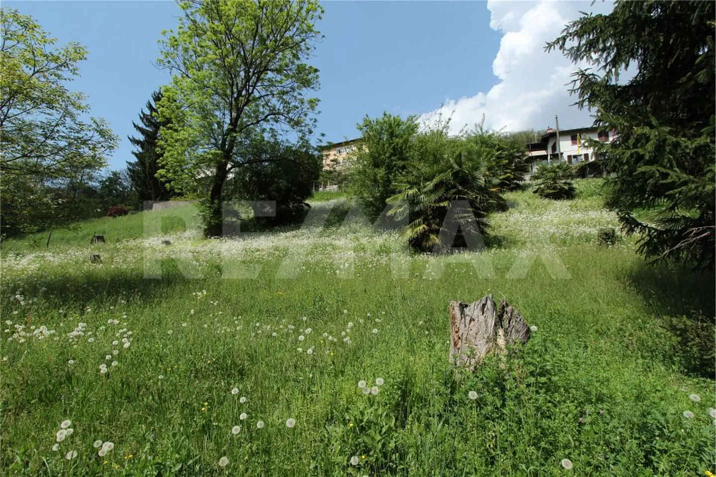 Terrain constructible intéressant avec un grand potentiel - Photo 12 sur 13
