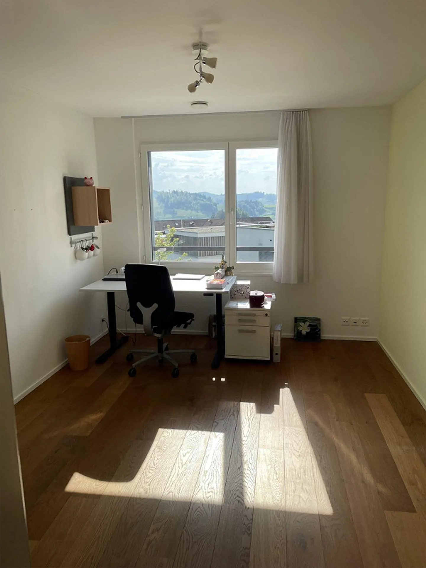 Geräumige Wohnung mit Alpsteinblick - Foto 13 von 20