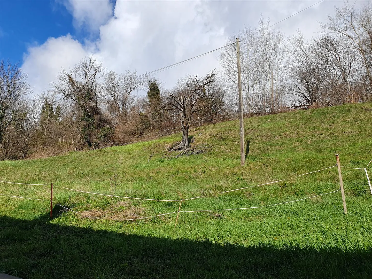 Terrain à bâtir avec vue panoramique à Luc (Ayent) - Photo 1 sur 5