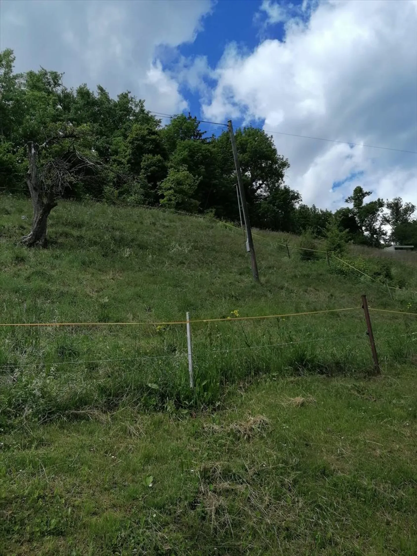 Terrain à bâtir avec vue panoramique à Luc (Ayent) - Photo 2 sur 5