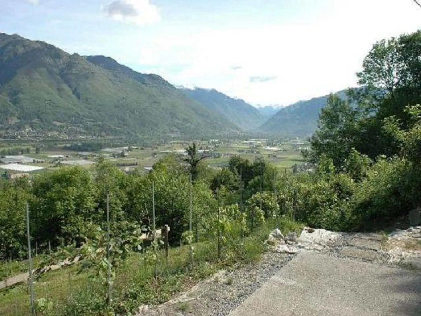 Rebberg mit Holzhäuschen an einer Panoramaaussichtslage - Foto 2 von 16