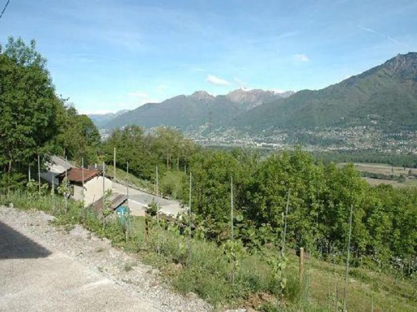Rebberg mit Holzhäuschen an einer Panoramaaussichtslage - Foto 3 von 16