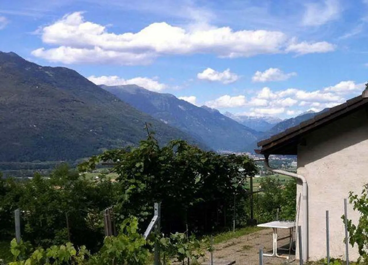 Rebberg mit Holzhäuschen an einer Panoramaaussichtslage - Foto 4 von 16