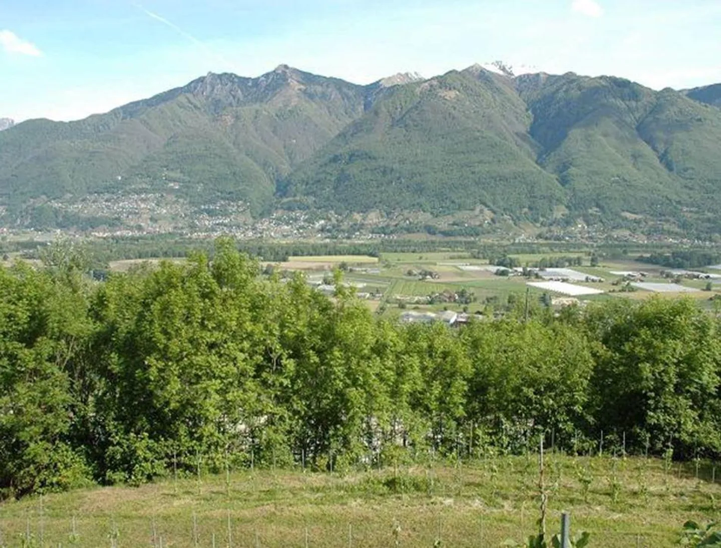 Rebberg mit Holzhäuschen an einer Panoramaaussichtslage - Foto 5 von 16