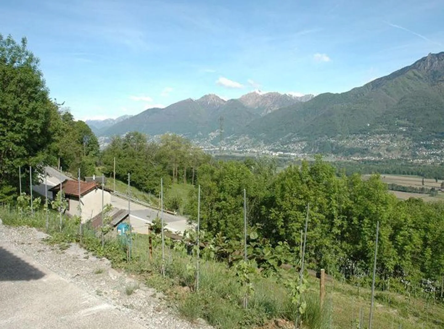 Rebberg mit Holzhäuschen an einer Panoramaaussichtslage - Foto 6 von 16