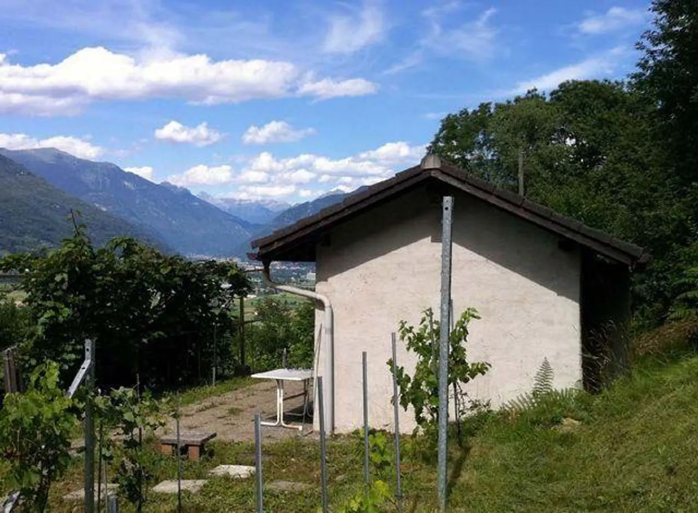 Rebberg mit Holzhäuschen an einer Panoramaaussichtslage - Foto 7 von 16