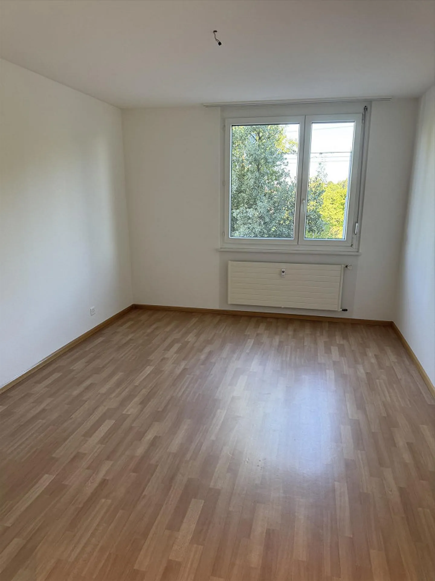 Your new home in Riehen - Photo 2 of 4