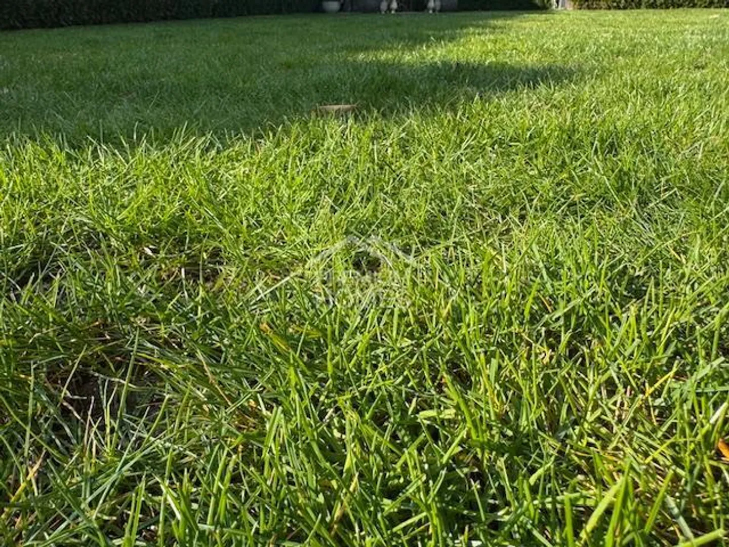 Proprietà con prospettiva di rendimento - Foto 1 di 7