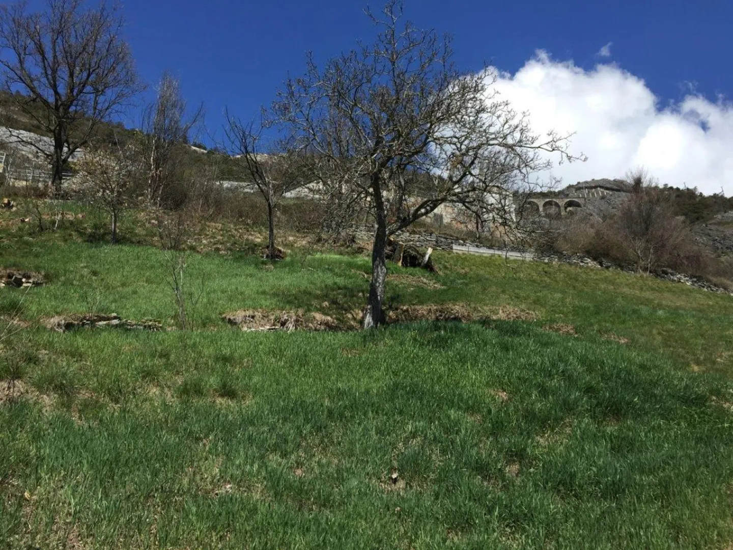 Building Land - Photo 1 of 5