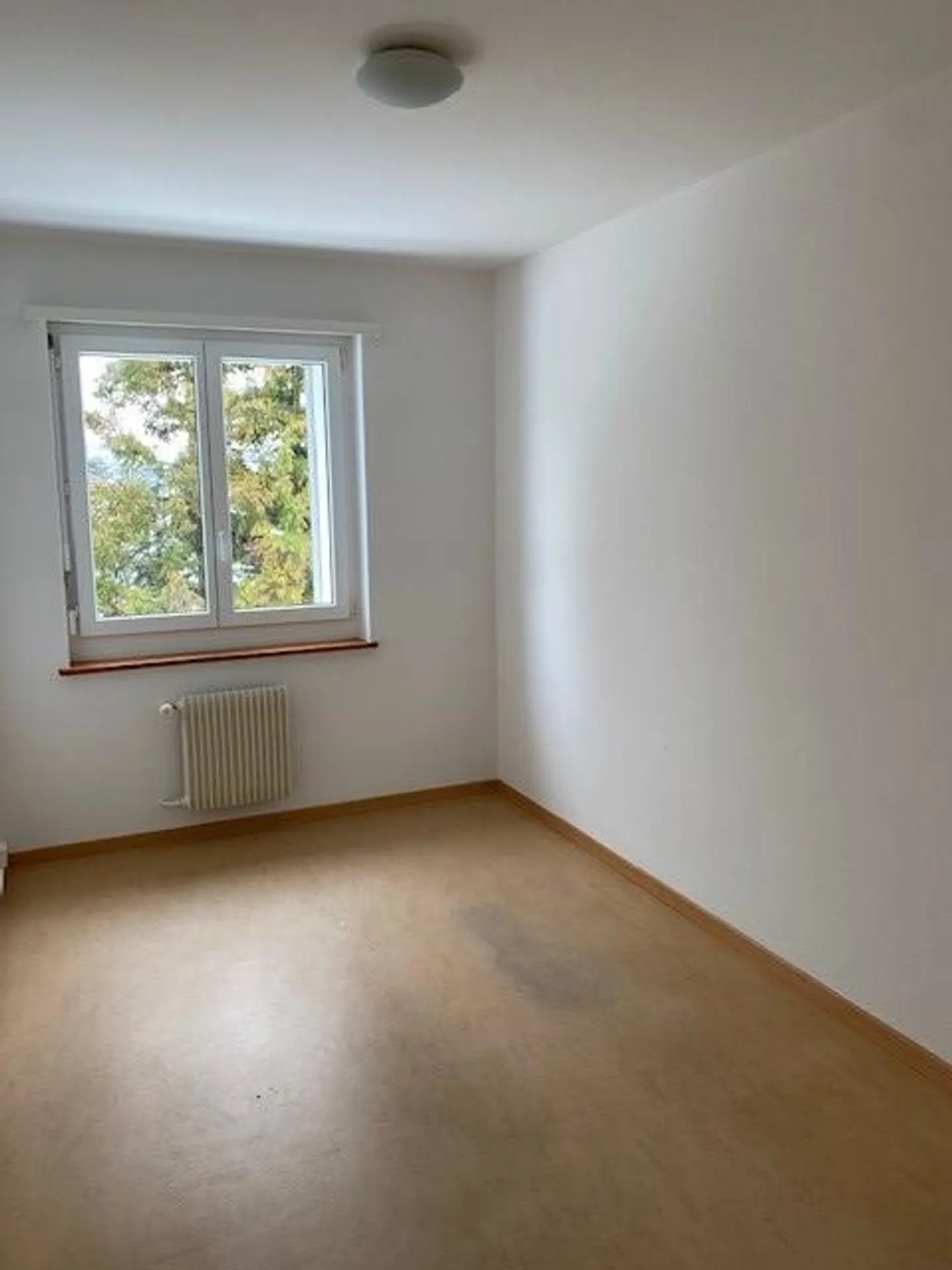 Appartamento in affitto - Foto 5 di 7