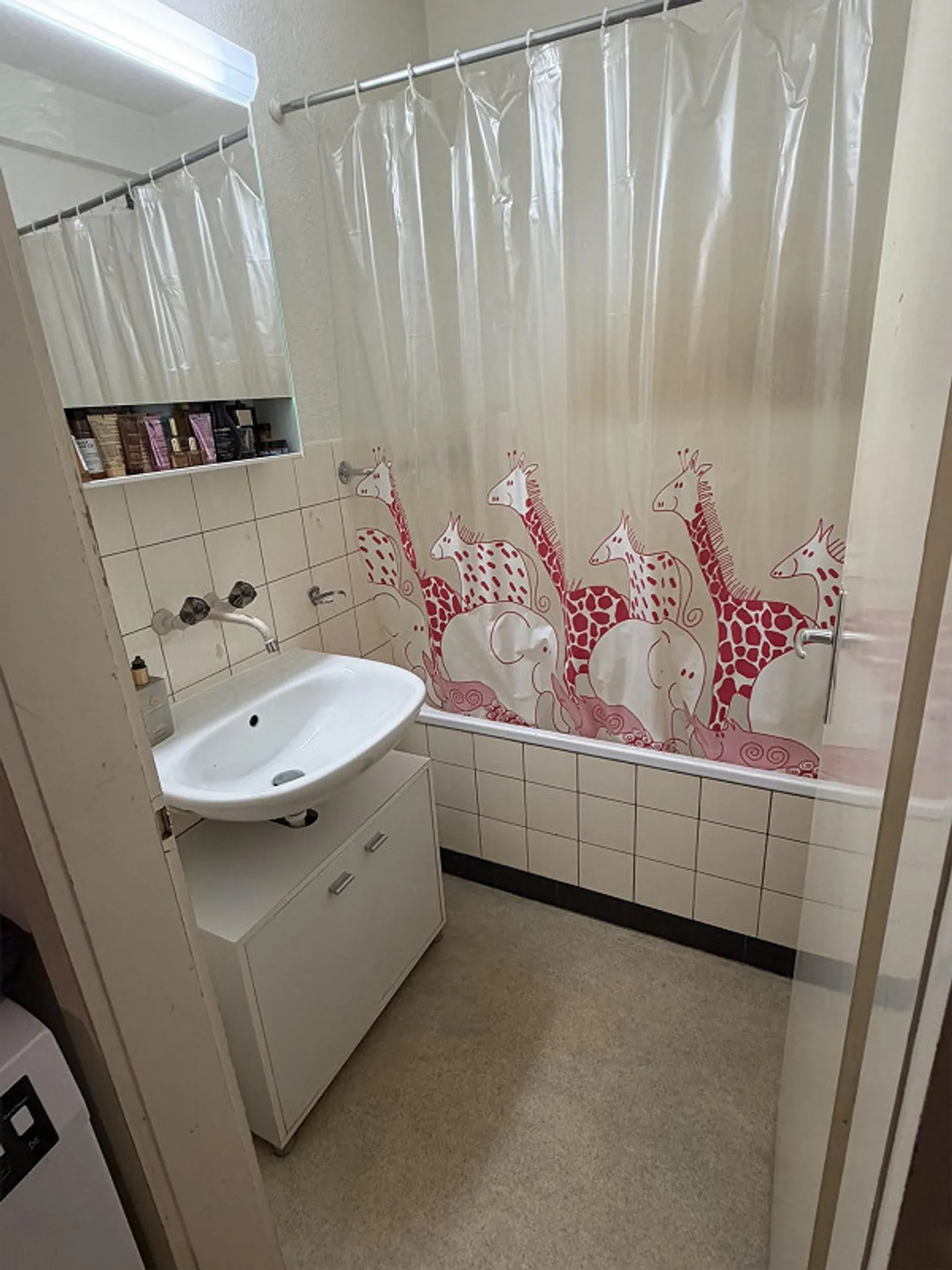 Charmante Wohnung in Basel - Foto 11 von 12