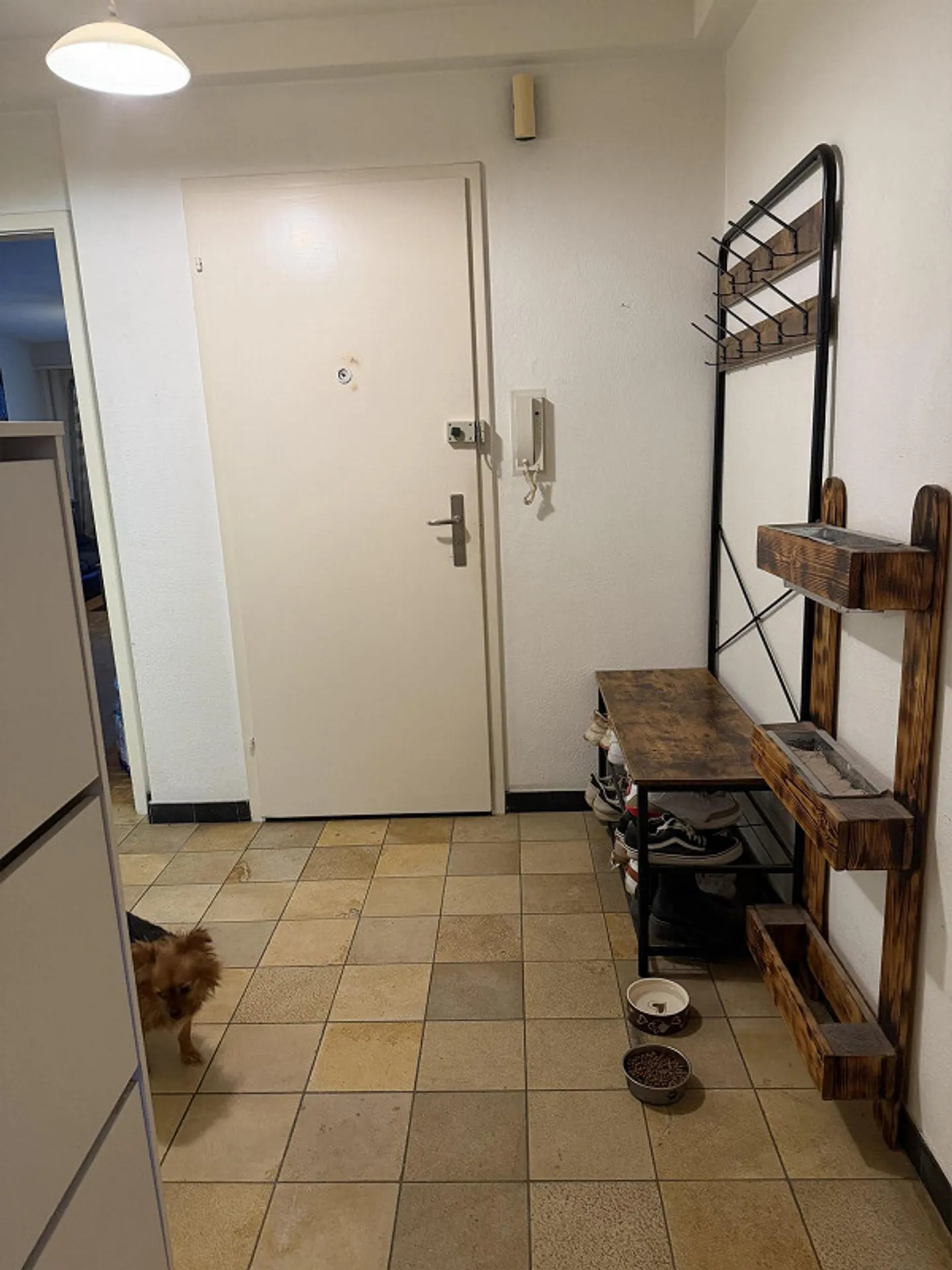 Charmante Wohnung in Basel - Foto 4 von 12