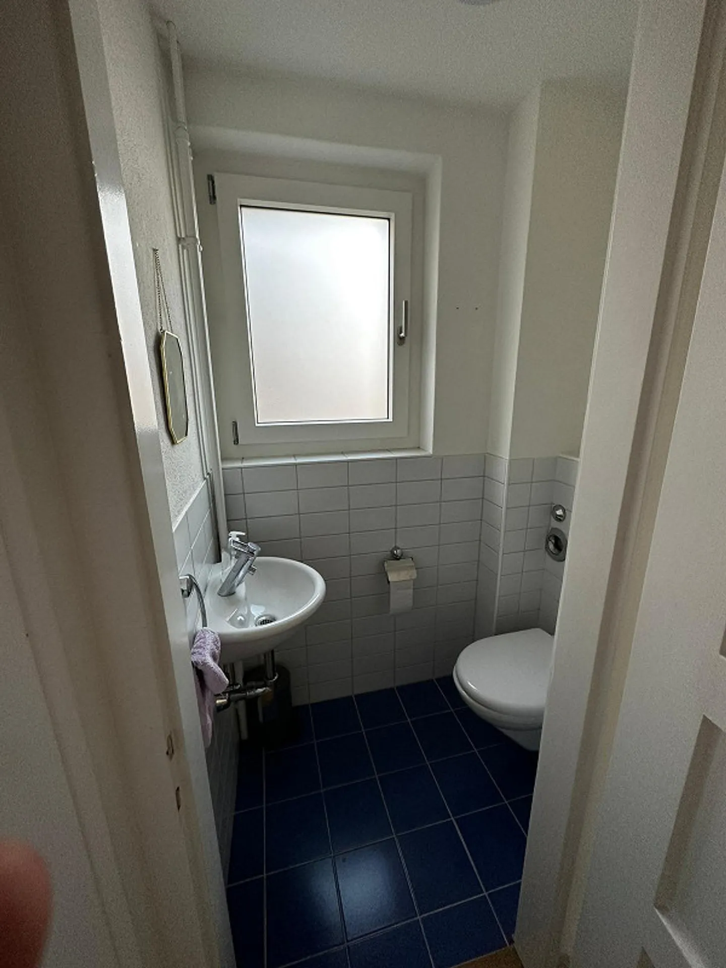 Room in a 3-person shared flat in the heart of Thalwil – 2 minutes from the train station, with lake view - Photo 7 of 7