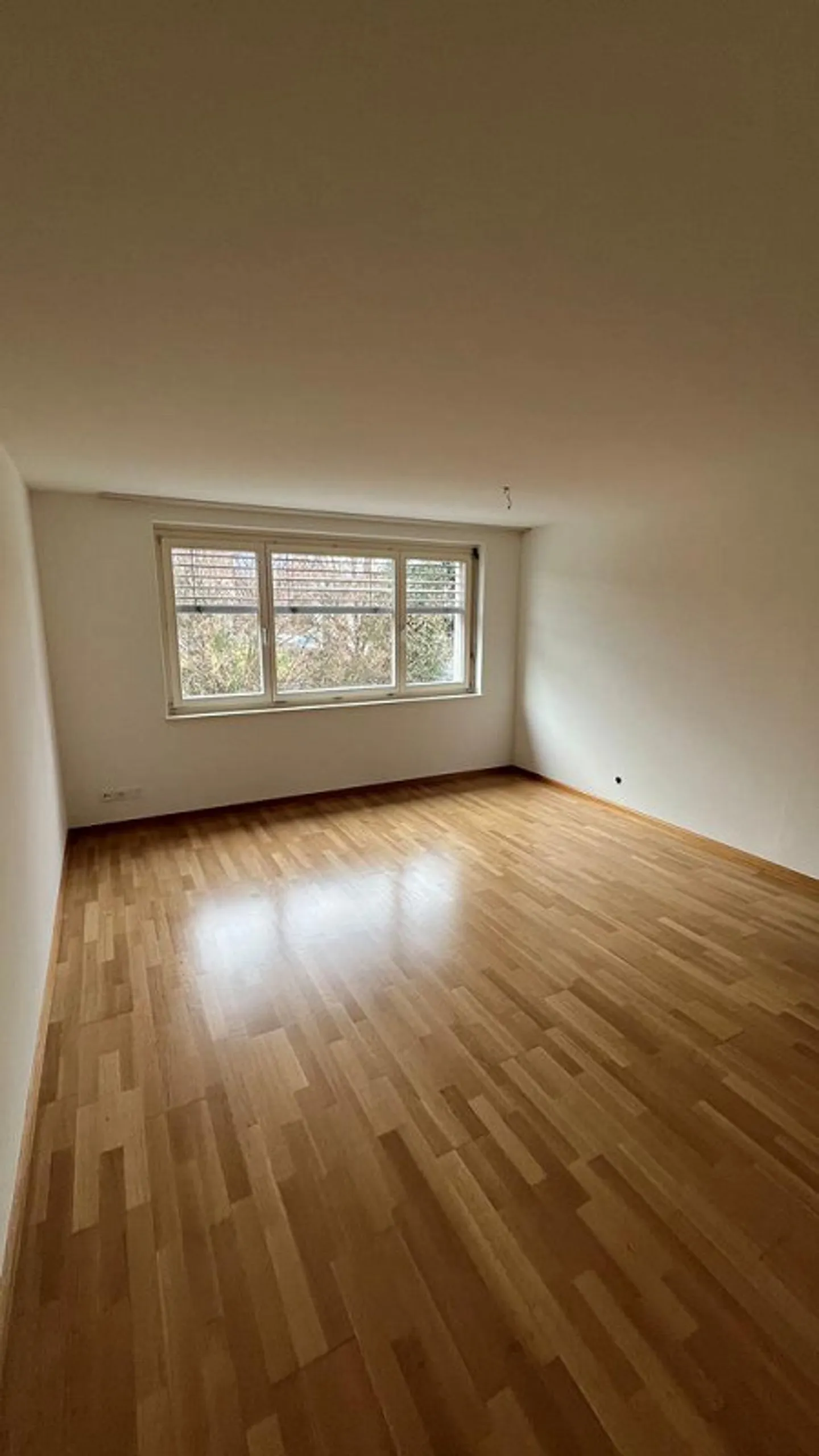 Ampio appartamento di 4 stanze con giardino d'inverno e balcone - Foto 4 di 9