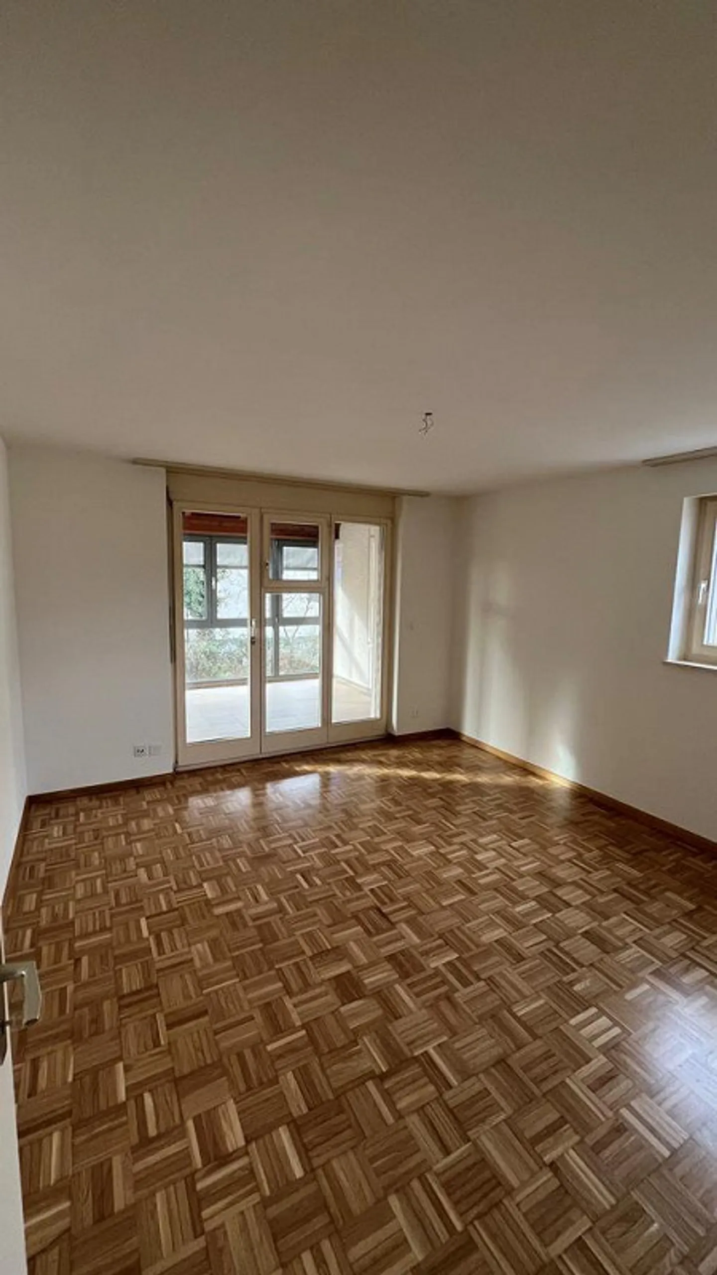 Ampio appartamento di 4 stanze con giardino d'inverno e balcone - Foto 2 di 9