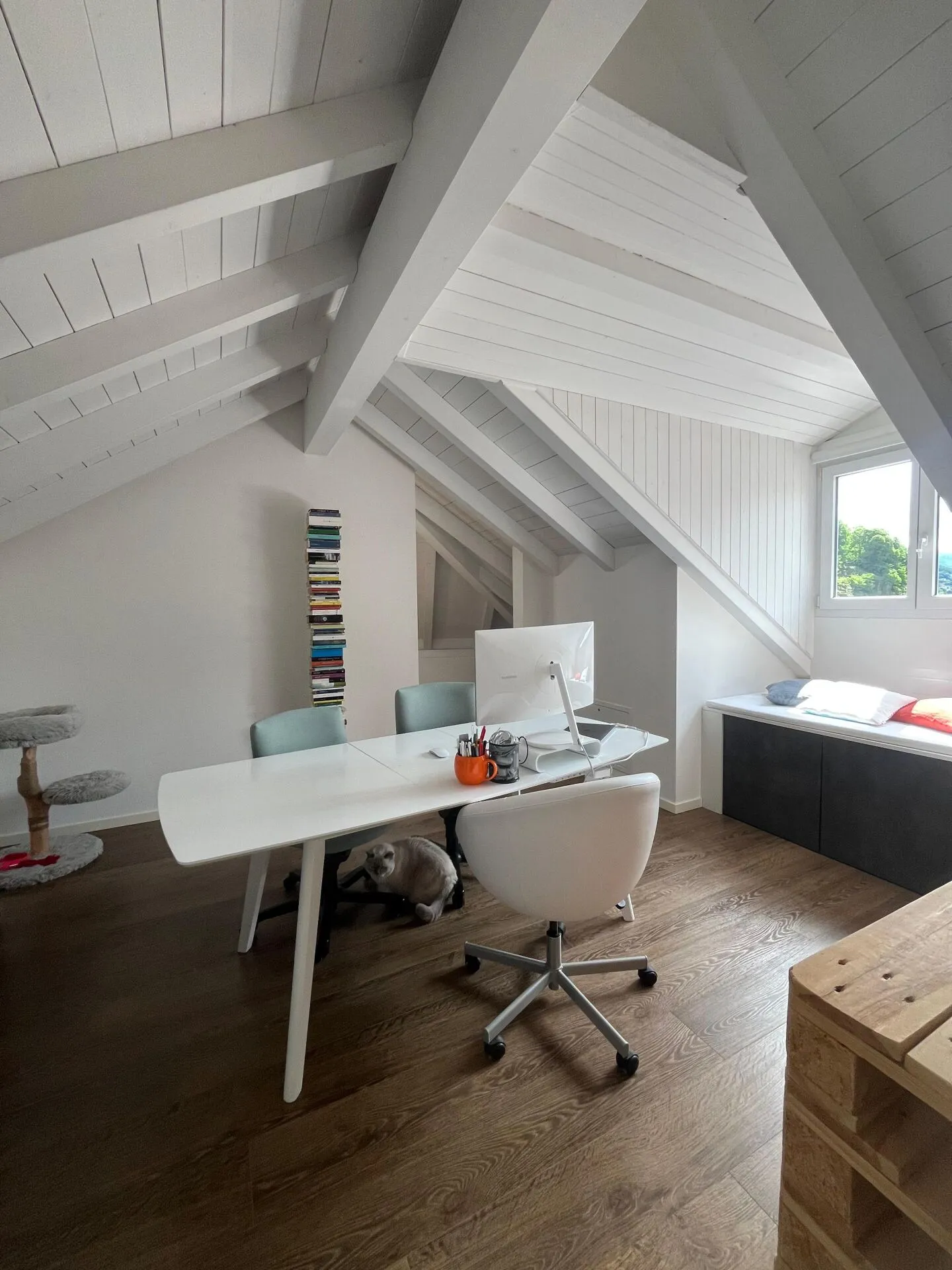 Appartamento duplex con 5 camere ad Arbedo - Foto 11 di 20