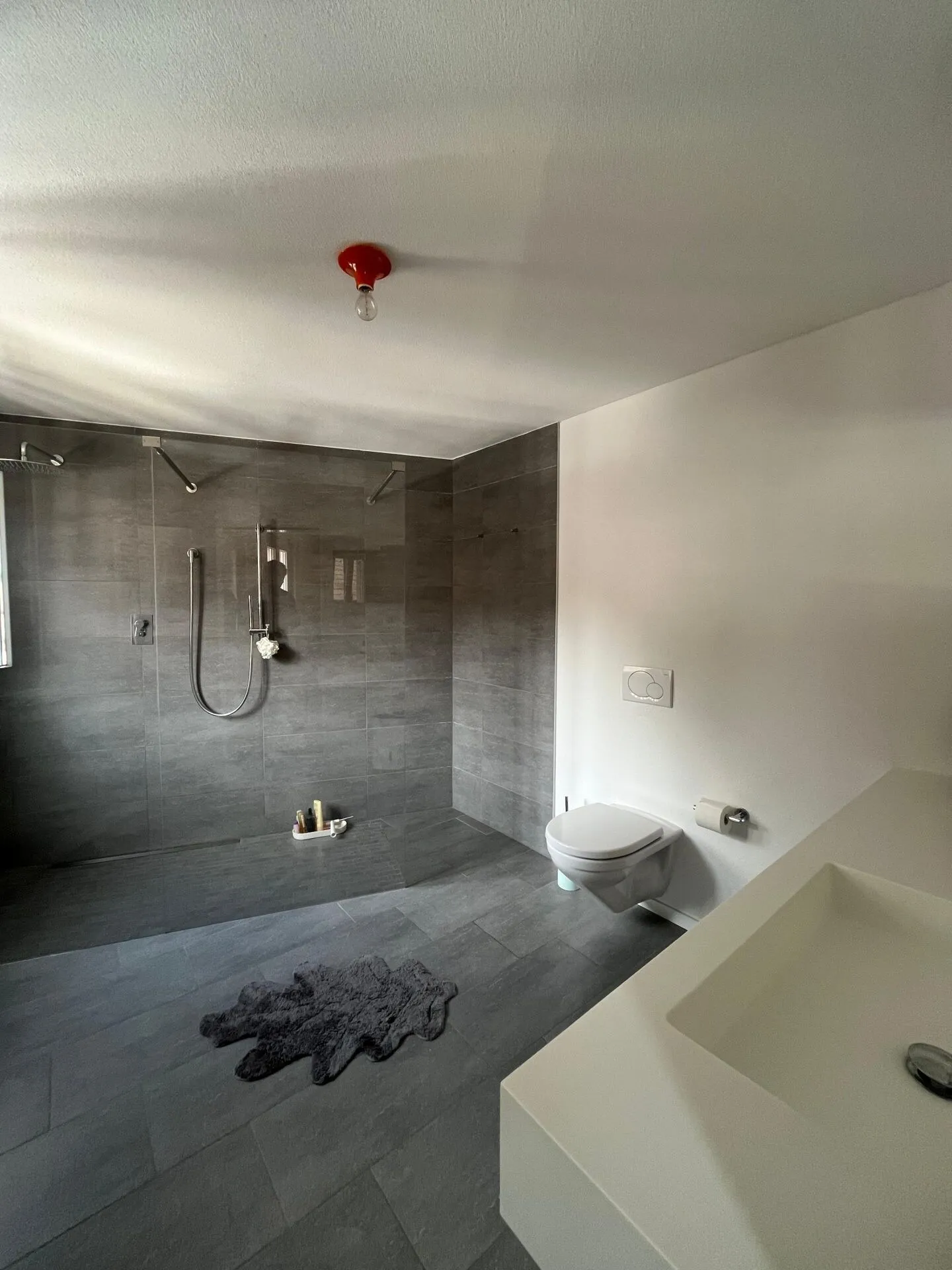 Appartamento duplex con 5 camere ad Arbedo - Foto 17 di 20