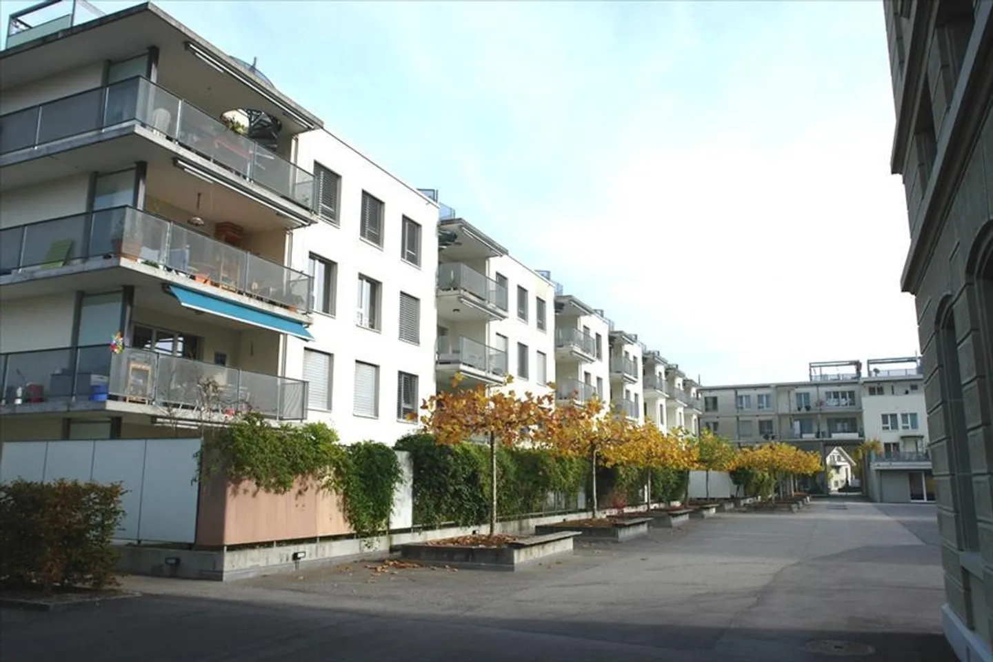 Dans le quartier de Steinhof - Photo 1 sur 1