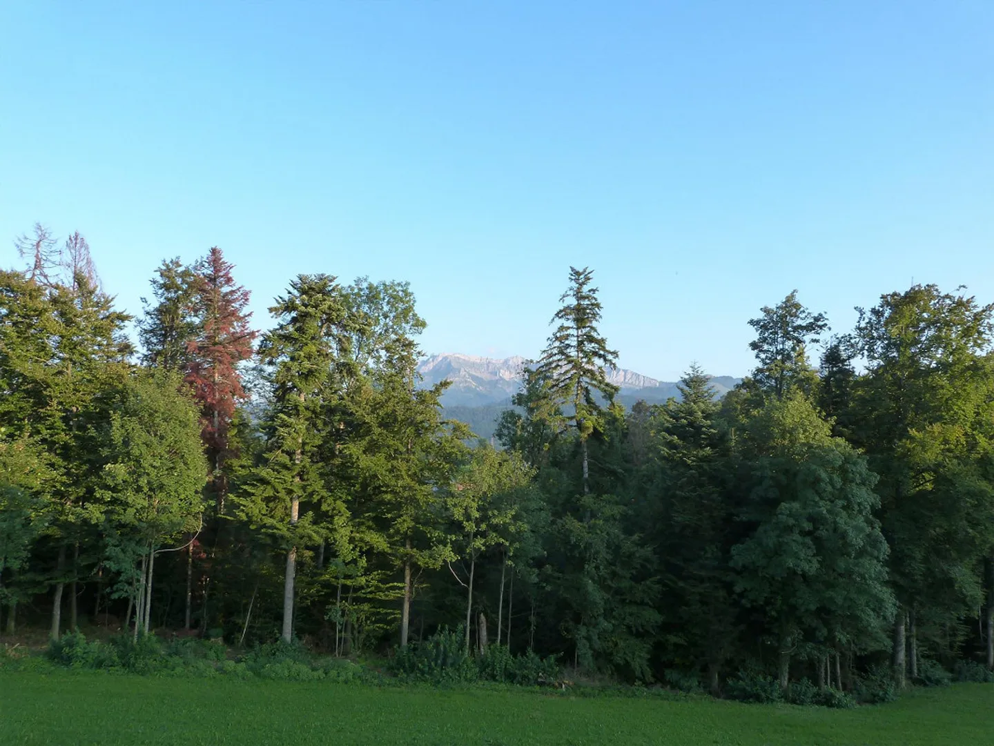 3 Room Penthouse Apartment Furnished, 80m2 - Photo 1 of 12