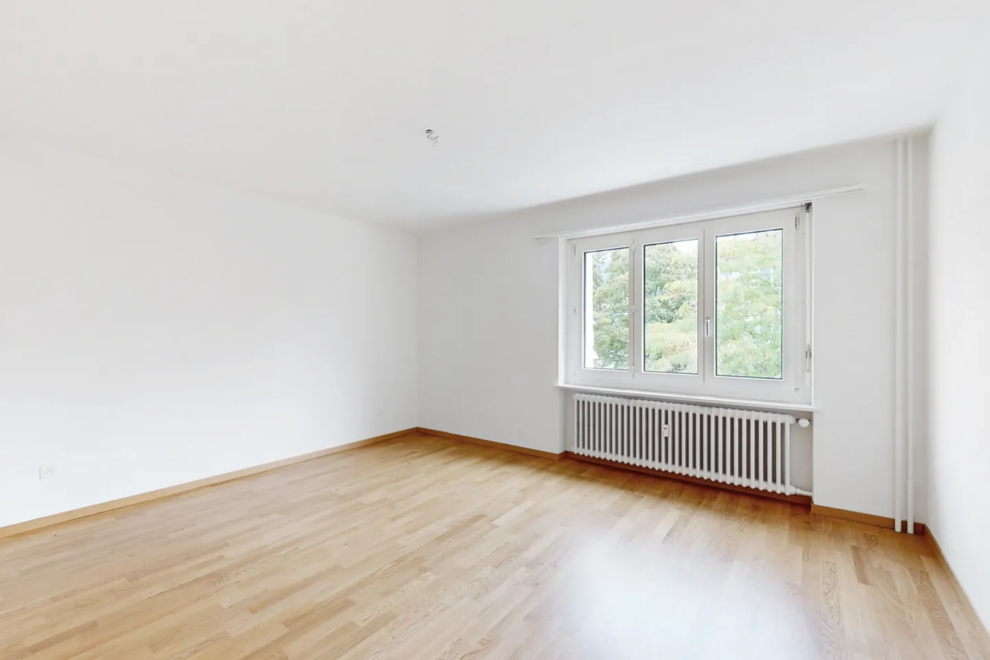 Quiet residential area near city center - Photo 3 of 9