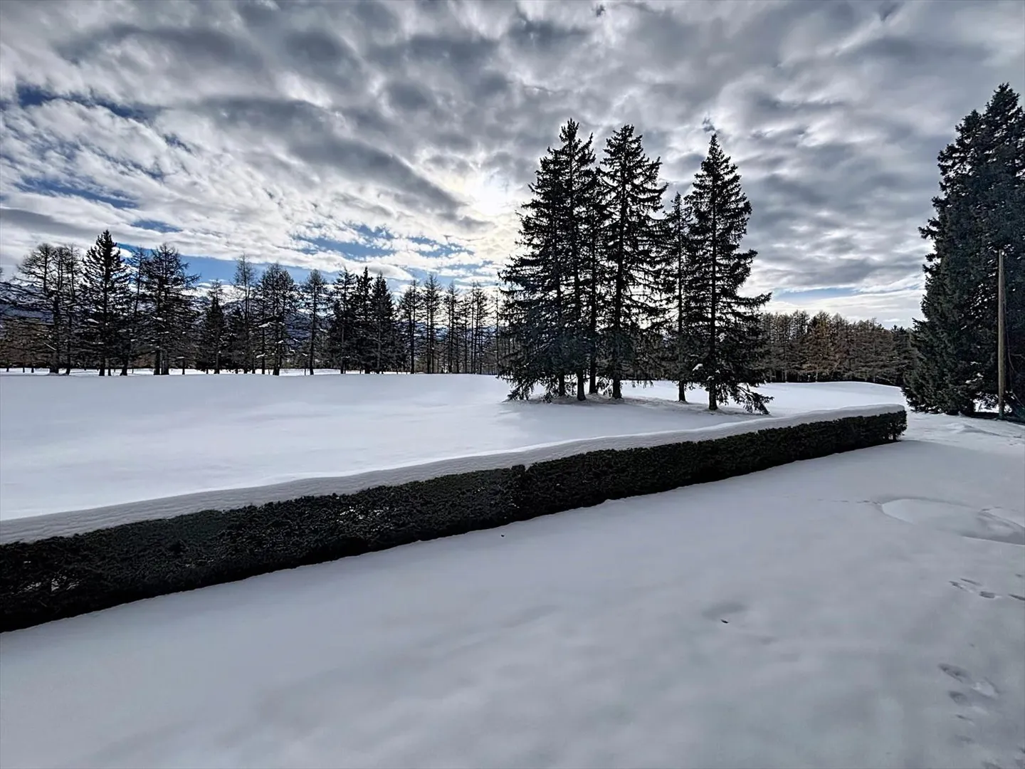 3.5 Room Apartment with Golf View - Photo 7 of 12