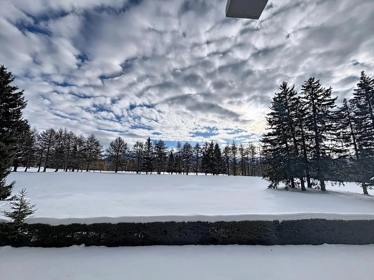 3.5 Room Apartment with Golf View - Photo 8 of 12