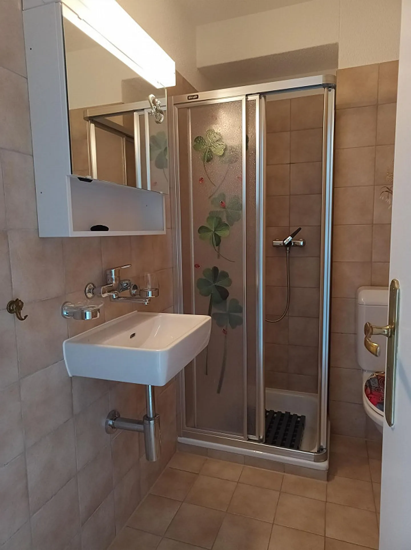 Ampio appartamento soleggiato con vista - Foto 5 di 9