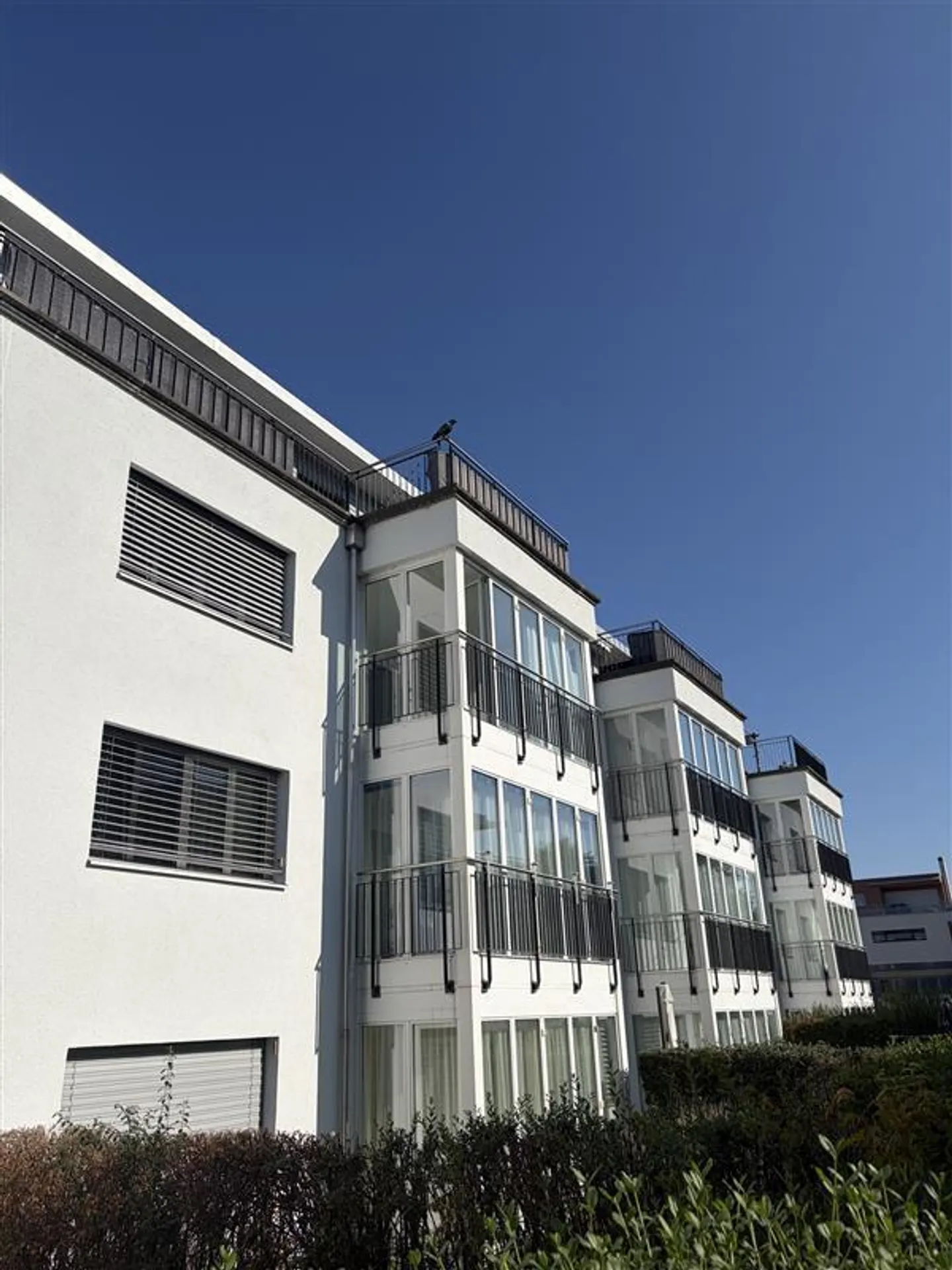 Ampio appartamento di 3,5 locali nel cuore di Pratteln - Foto 1 di 9
