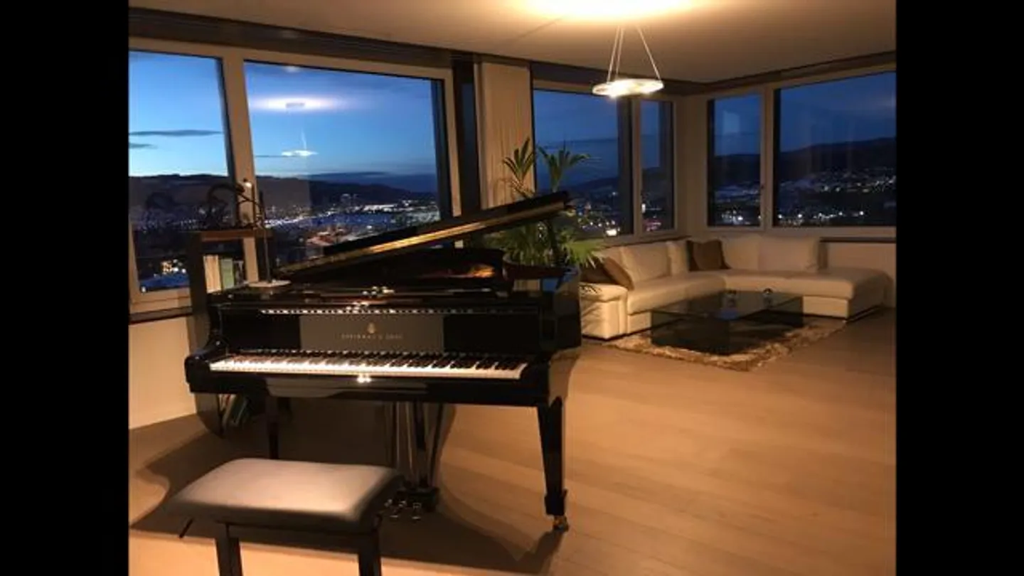 Stylish apartment on the 16th floor of the Limmat Tower with breathtaking views - Photo 2 of 8