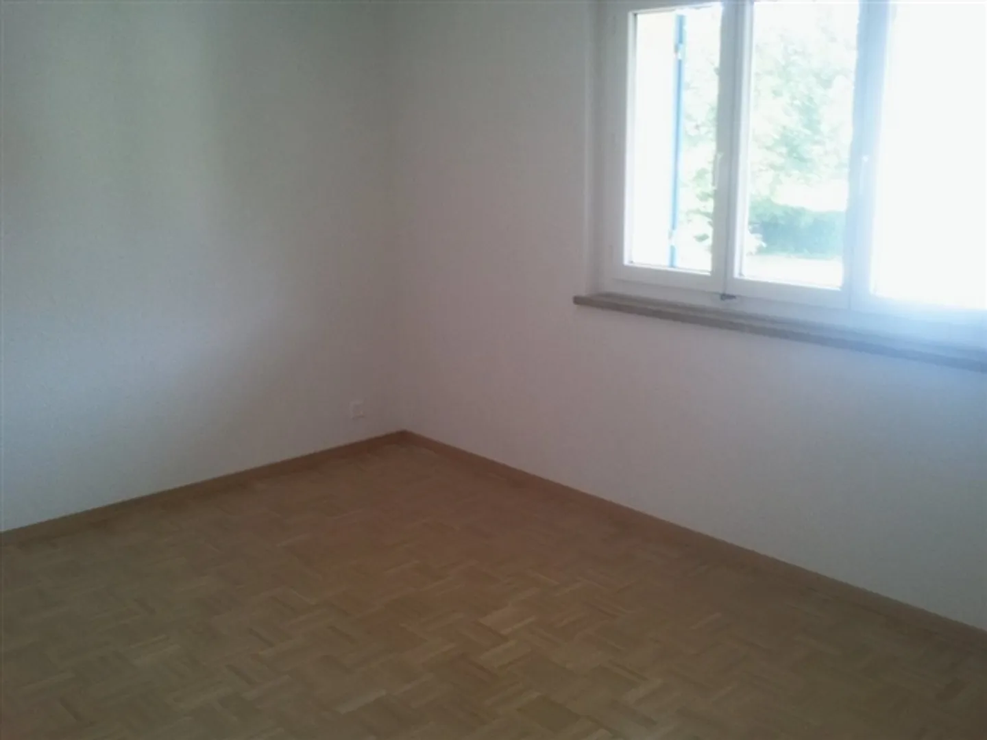 Vivere nel Sonnenfeld - Foto 4 di 7