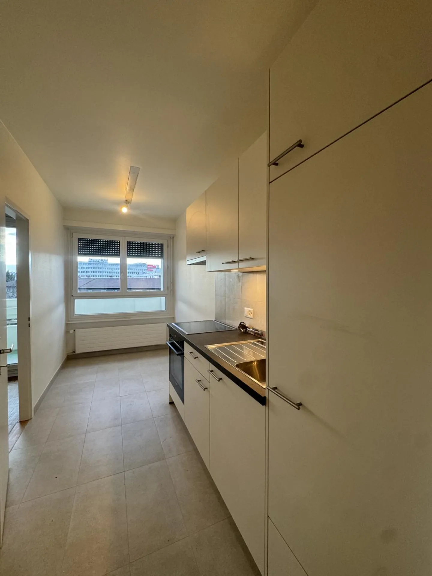 Grande appartamento 3,5 locali a1 Carouge - Foto 3 di 8