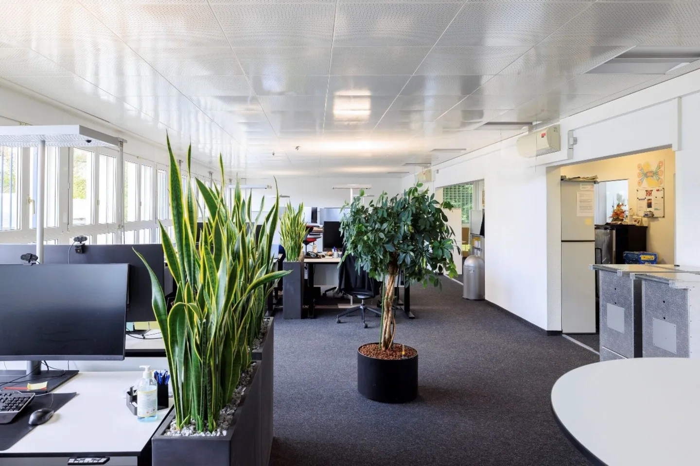 Horgen - Ausgebautes Büro in Bahnhofsnähe - Foto 9 von 9