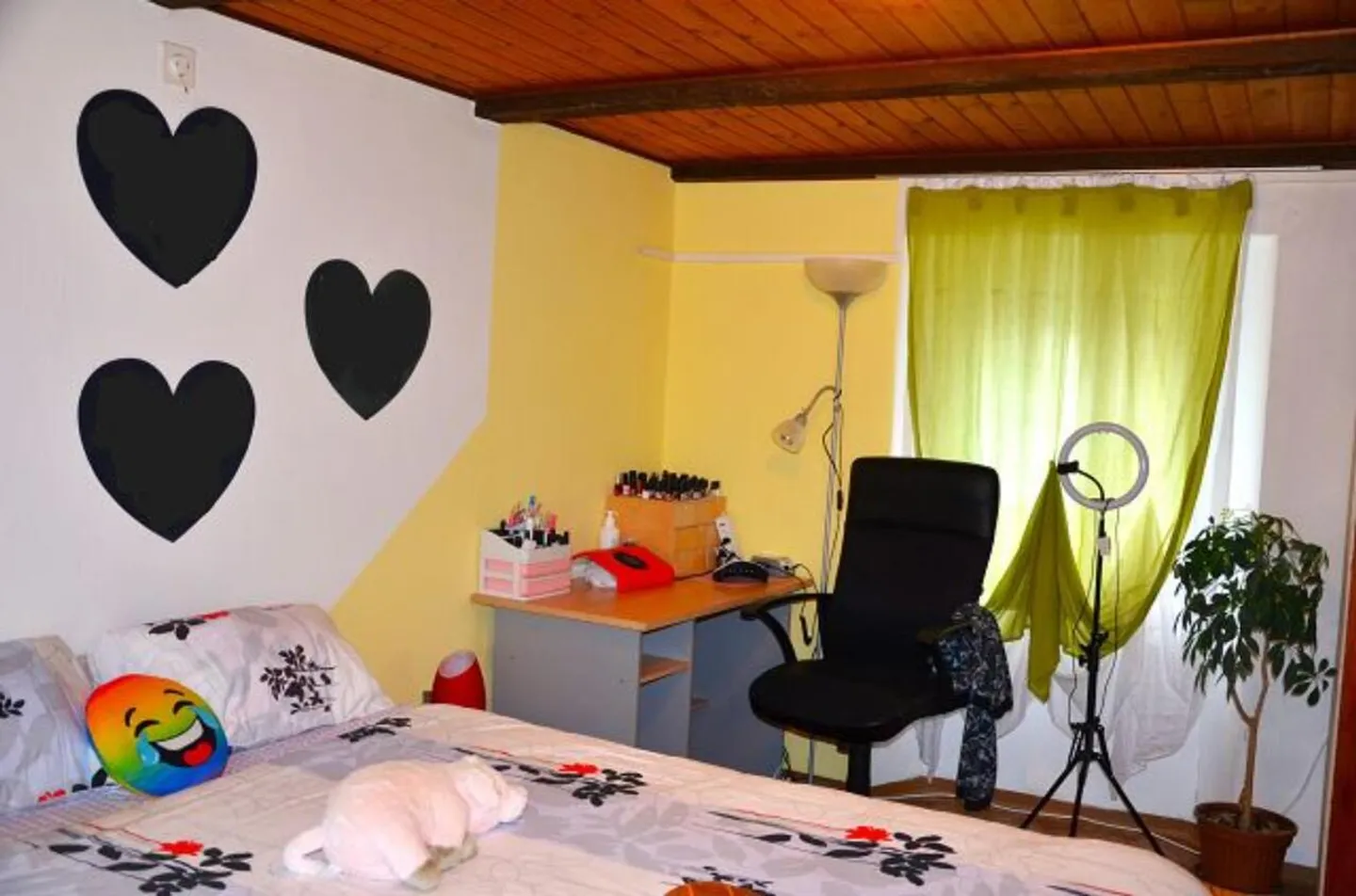 Maison individuelle de 6 1/2 pièces avec grand terrain dans un emplacement très calme et ensoleillé / Belle maison de 6,5 pièces avec grand terrain - Photo 9 sur 13