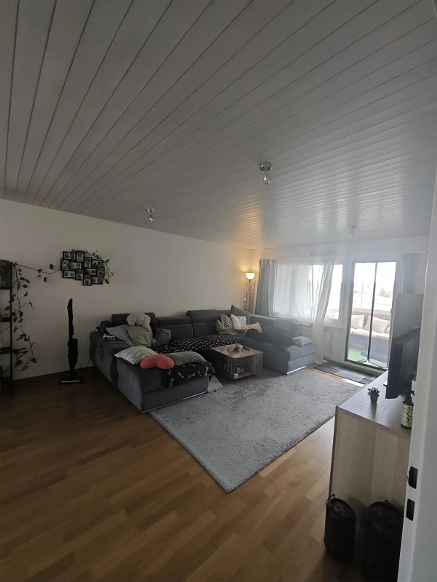 Moderne 4.5-Zimmer-Wohnung in Eschenbach (LU) ab Februar - Photo 5 of 16