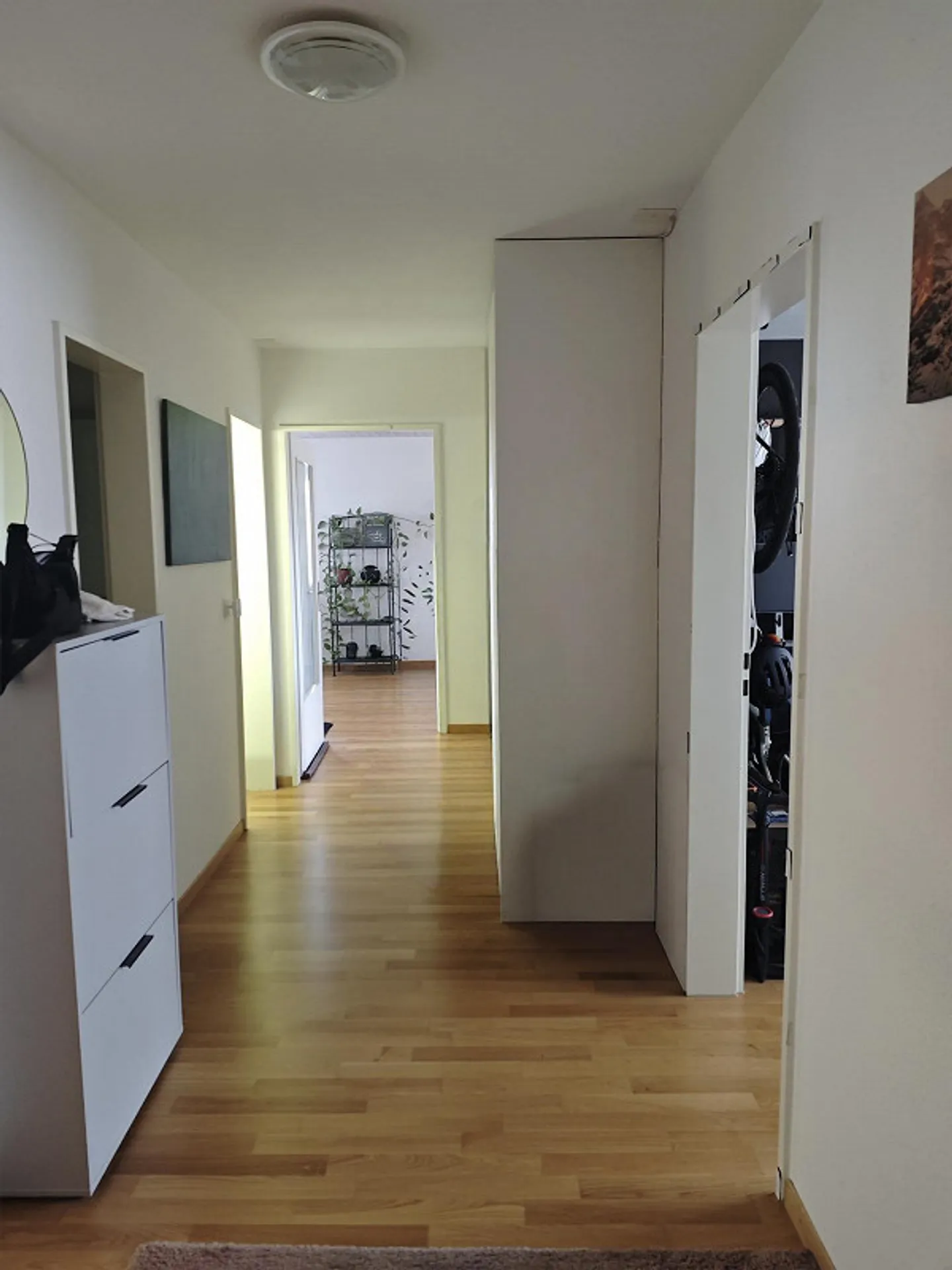 Moderne 4.5-Zimmer-Wohnung in Eschenbach (LU) ab Februar - Photo 7 of 16