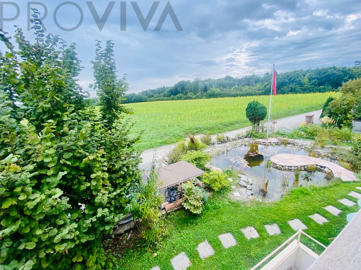 Le rêve des expatriés : une maison meublée entre Lausanne et Genève - Photo 4 sur 6