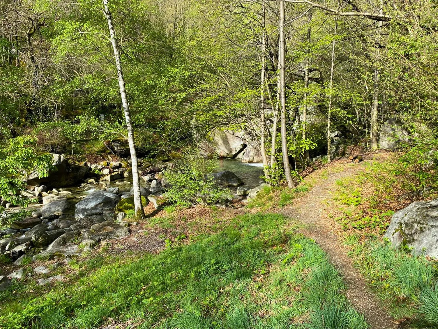 Terreno edificabile con piscina naturale - Foto 6 di 10
