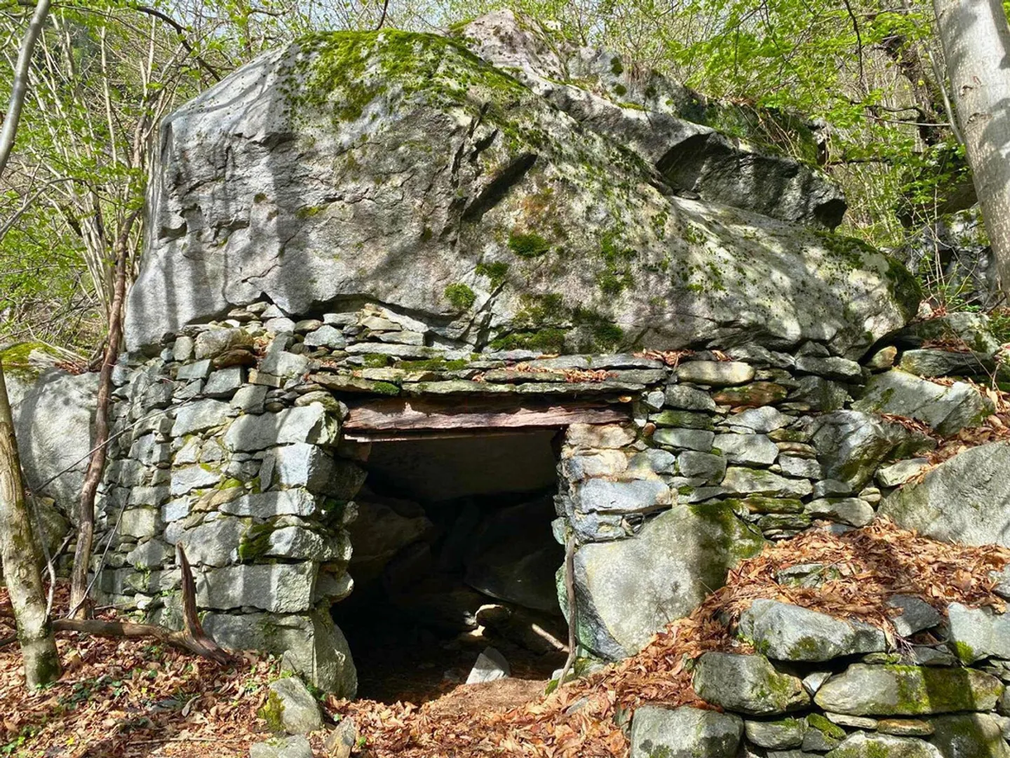 Terreno edificabile con piscina naturale - Foto 7 di 10