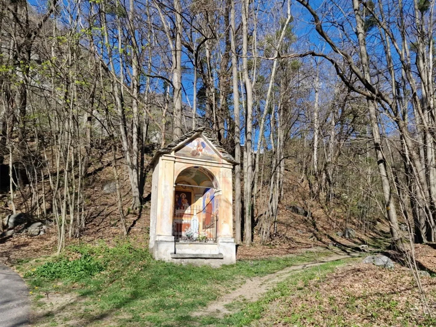 Terreno edificabile con piscina naturale - Foto 8 di 10