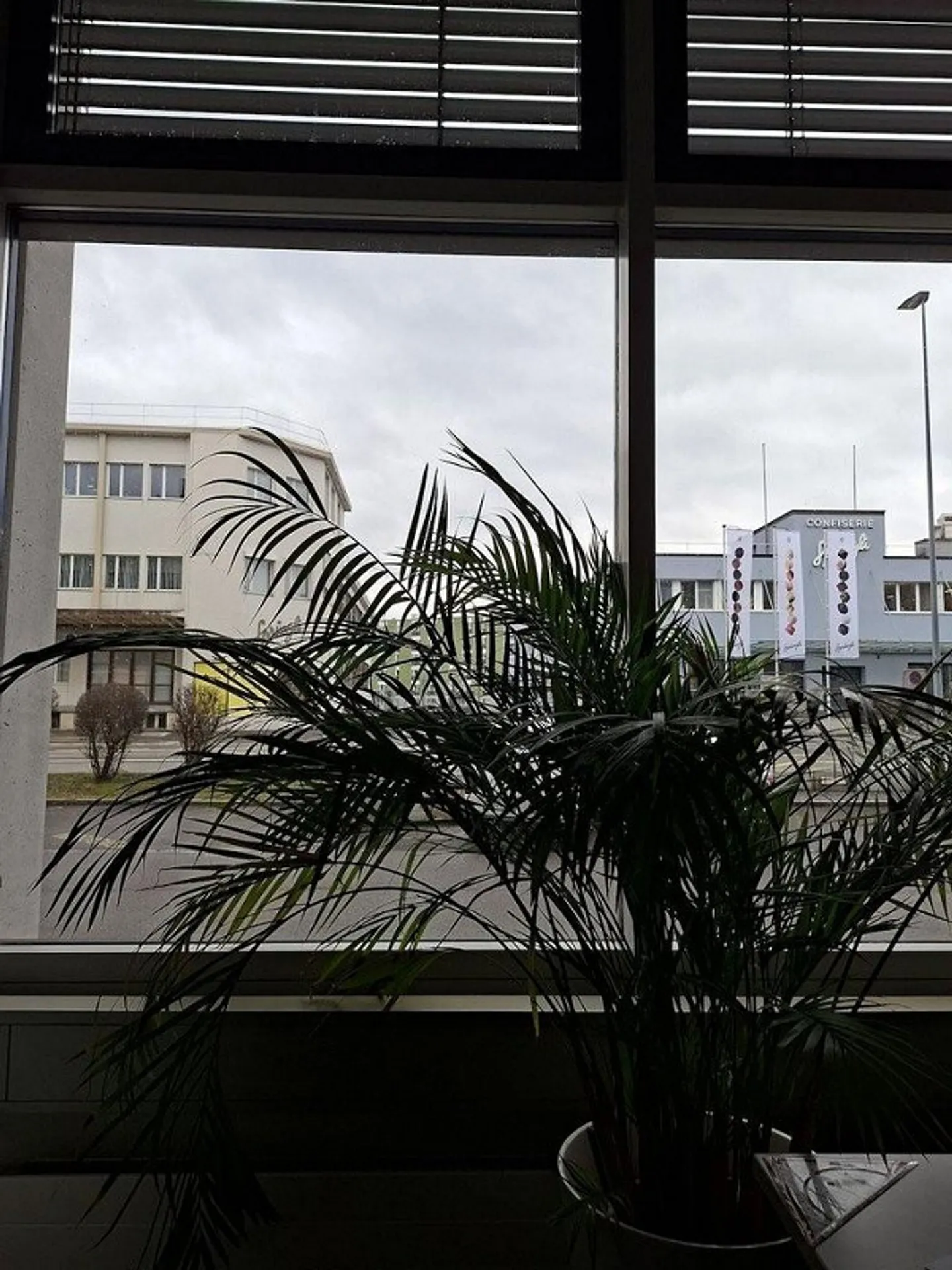 Spazio ufficio in affitto - 68 metri quadrati in una posizione centrale - Foto 3 di 3