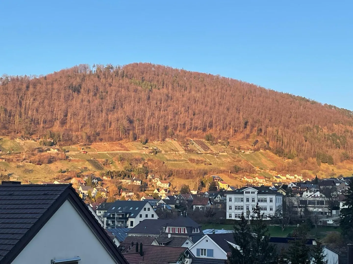 Modernes Wohnen mit toller Aussicht an zentraler Lage - Foto 8 von 11