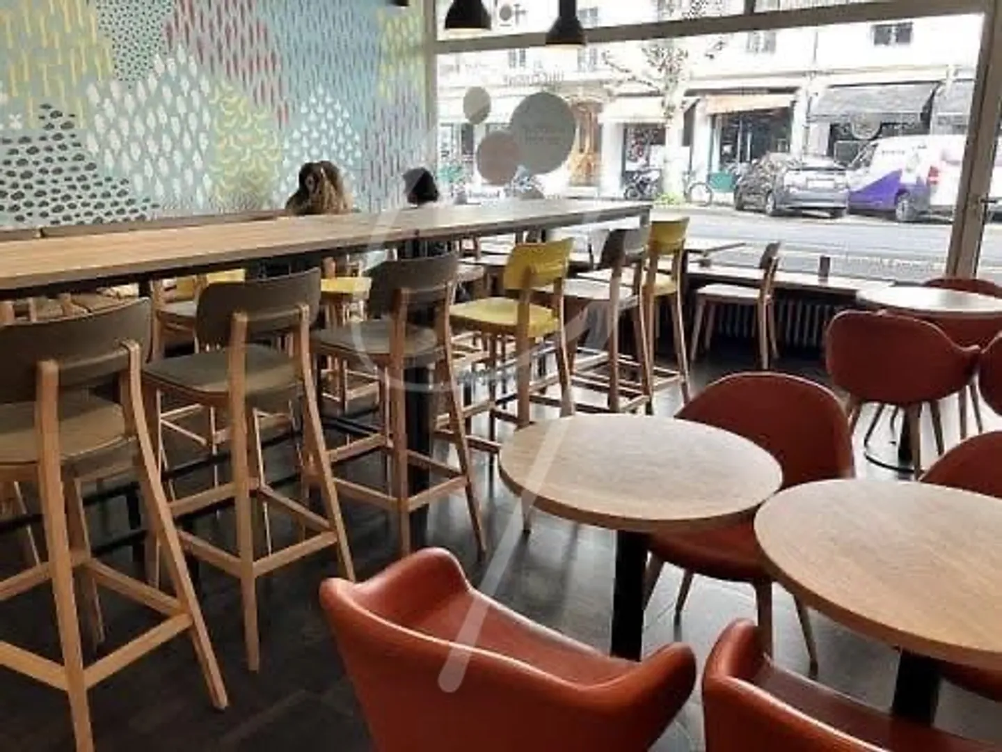 RISTORANTE - ATTIVITÀ - - Foto 4 di 6