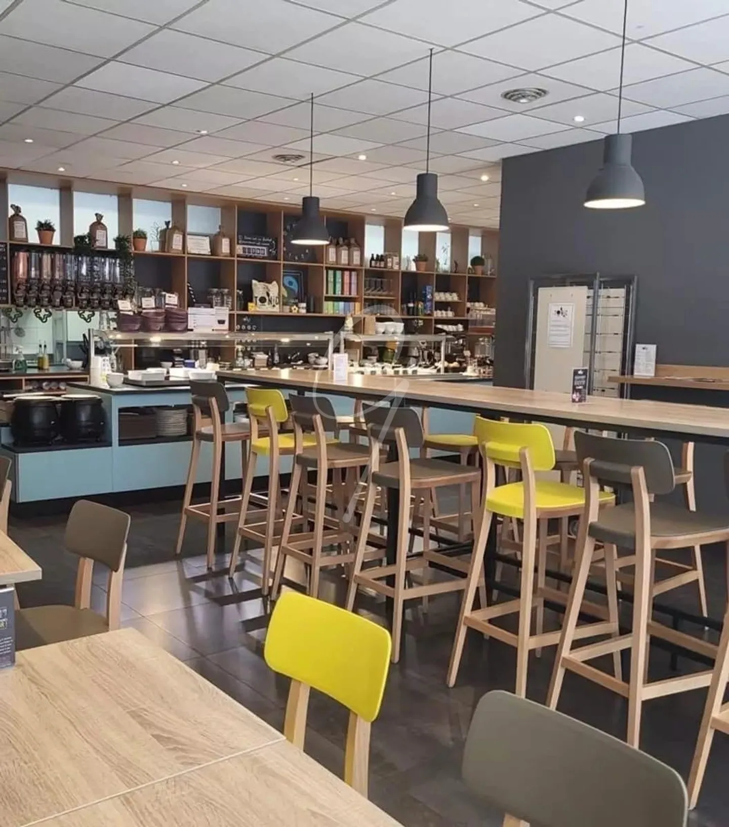 RISTORANTE - ATTIVITÀ - - Foto 3 di 6