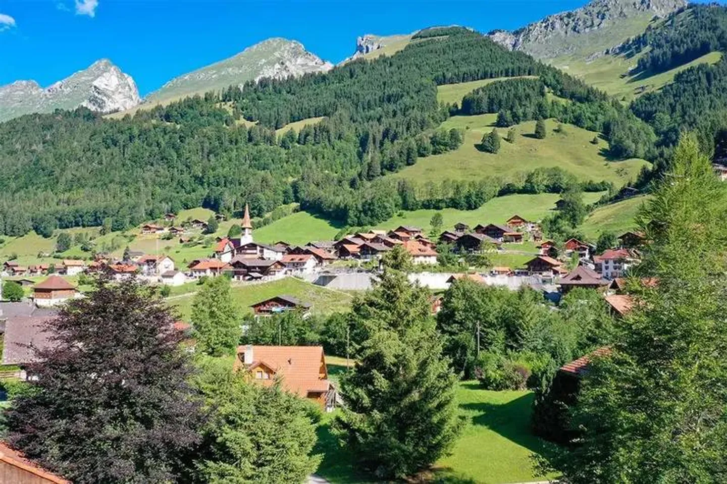 Magnifico chalet di 4.5 stanze da costruire - Jaun - Foto 5 di 5